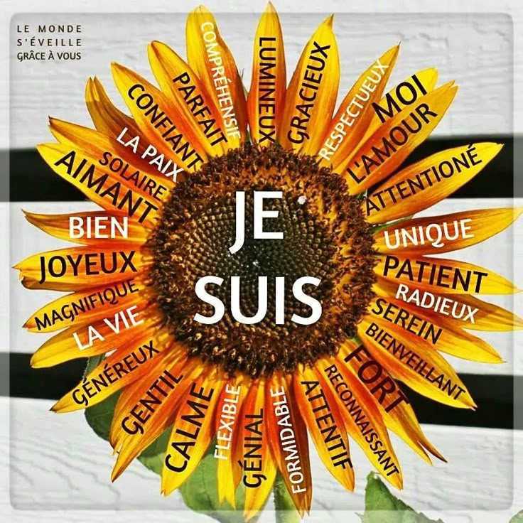 J'aime la langue francais
